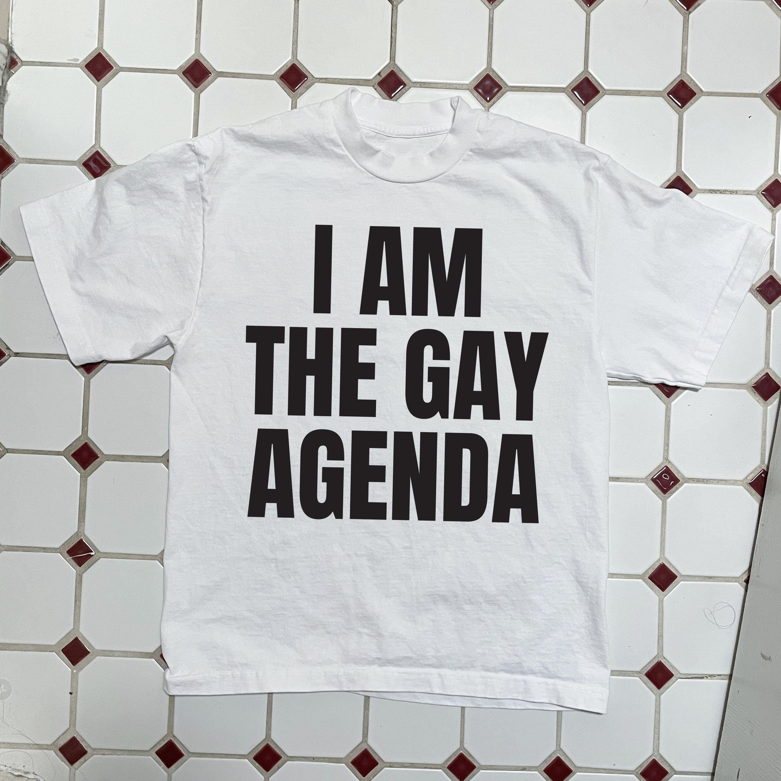 Gay Agenda Boxy Tee