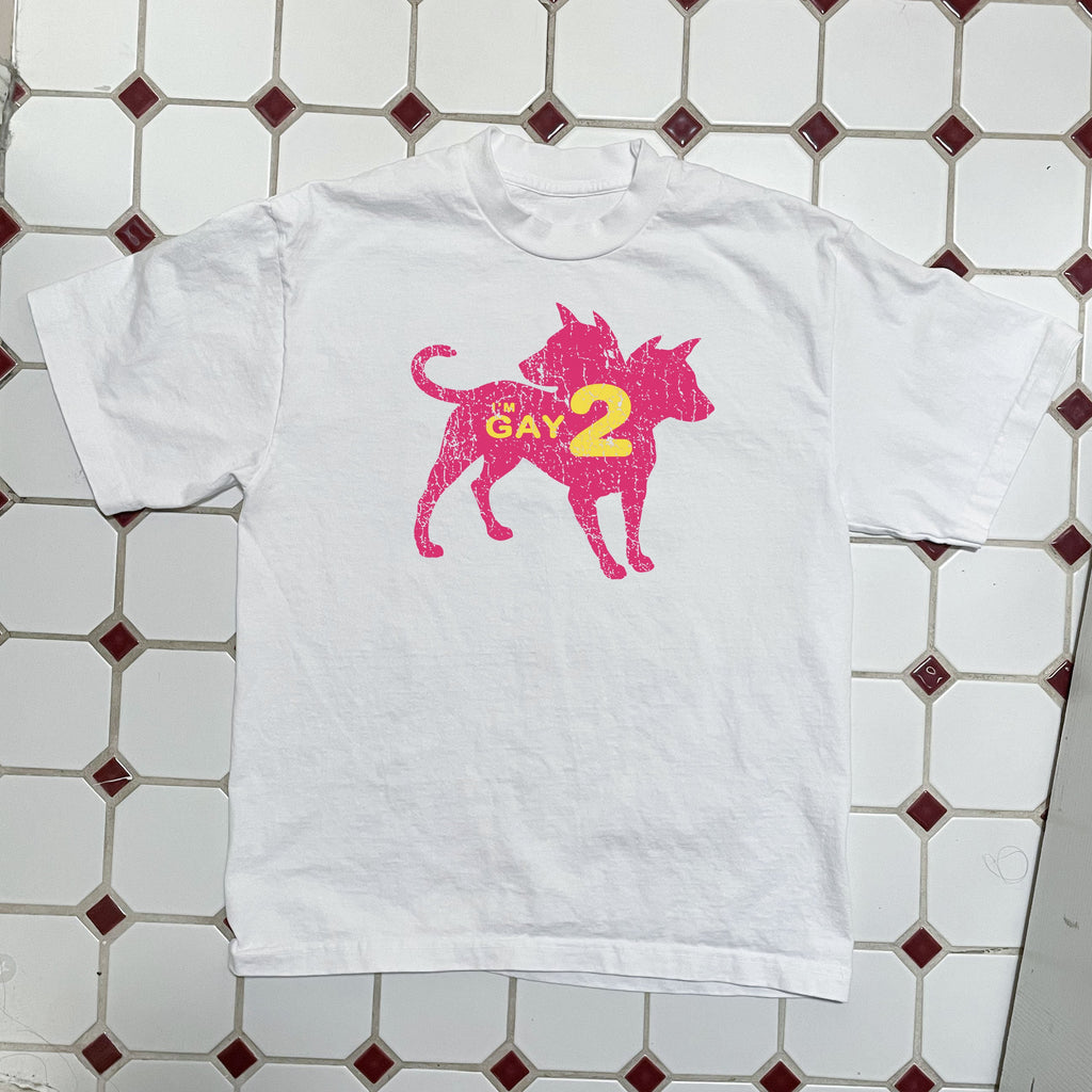 I'm Gay 2 Boxy Tee