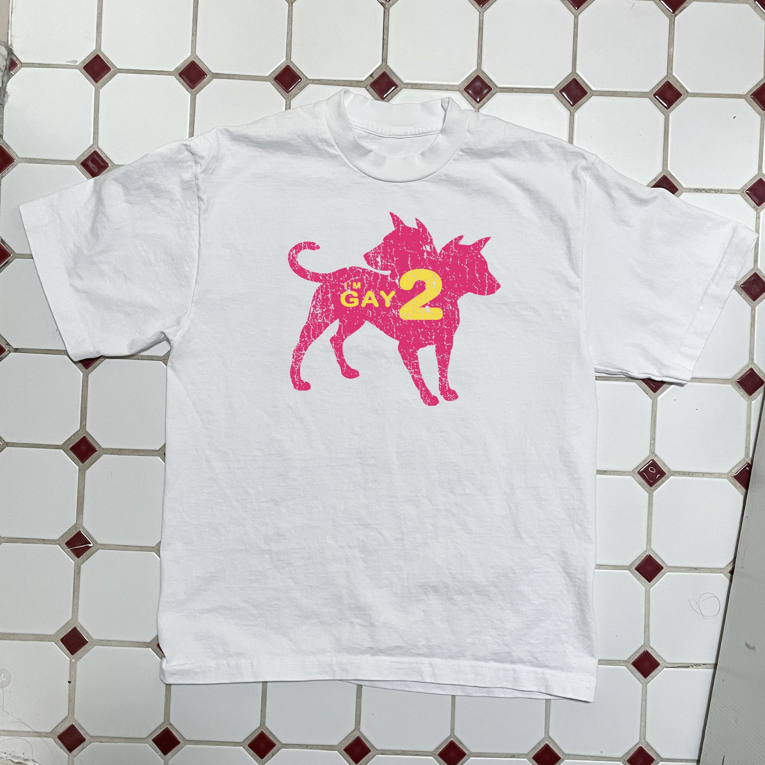 I'm Gay 2 Boxy Tee