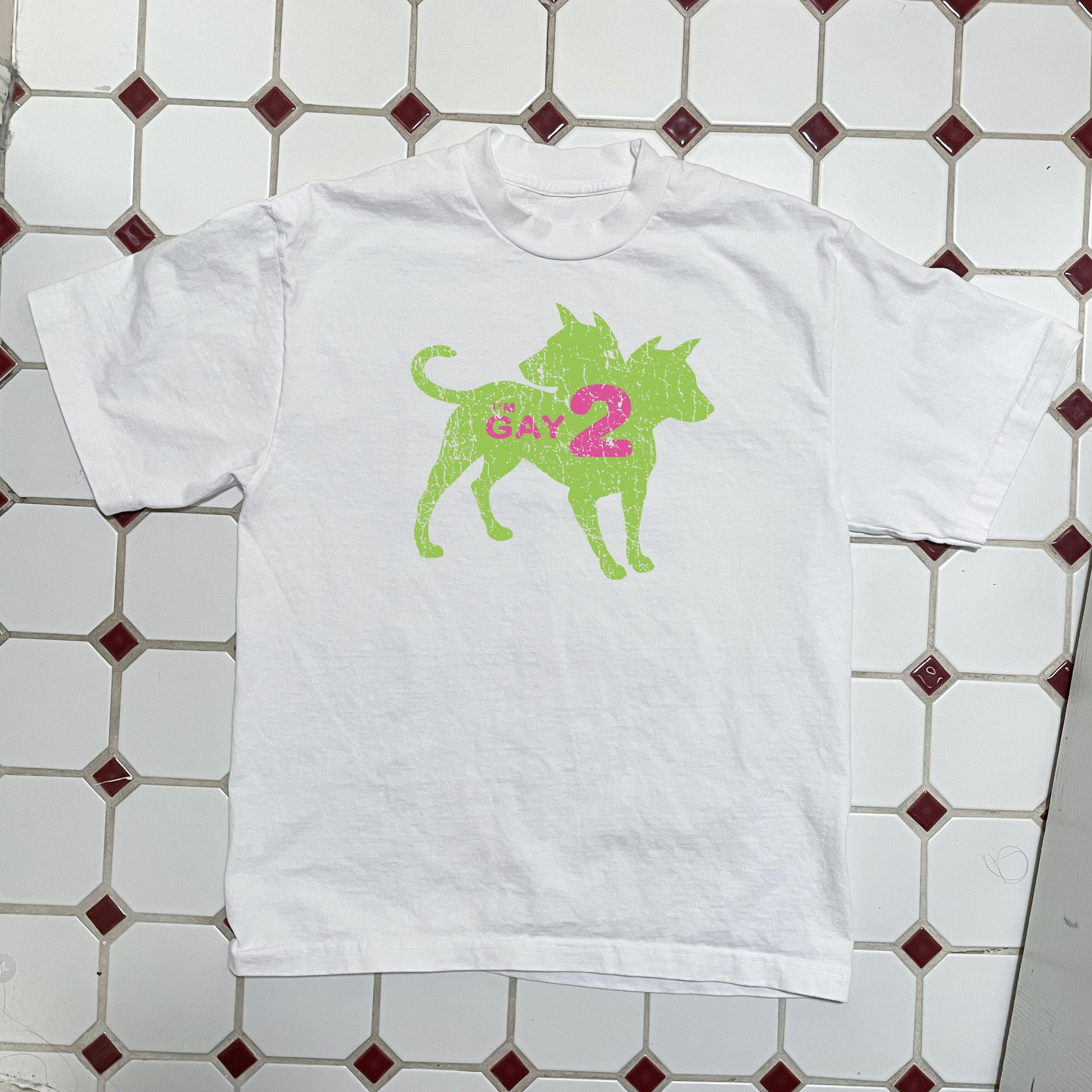 I'm Gay 2 Boxy Tee