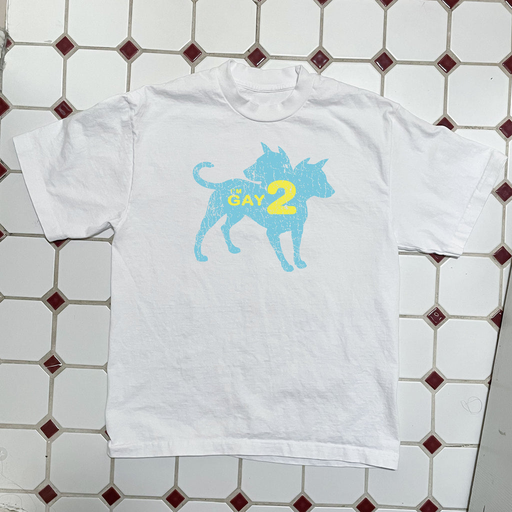 I'm Gay 2 Boxy Tee