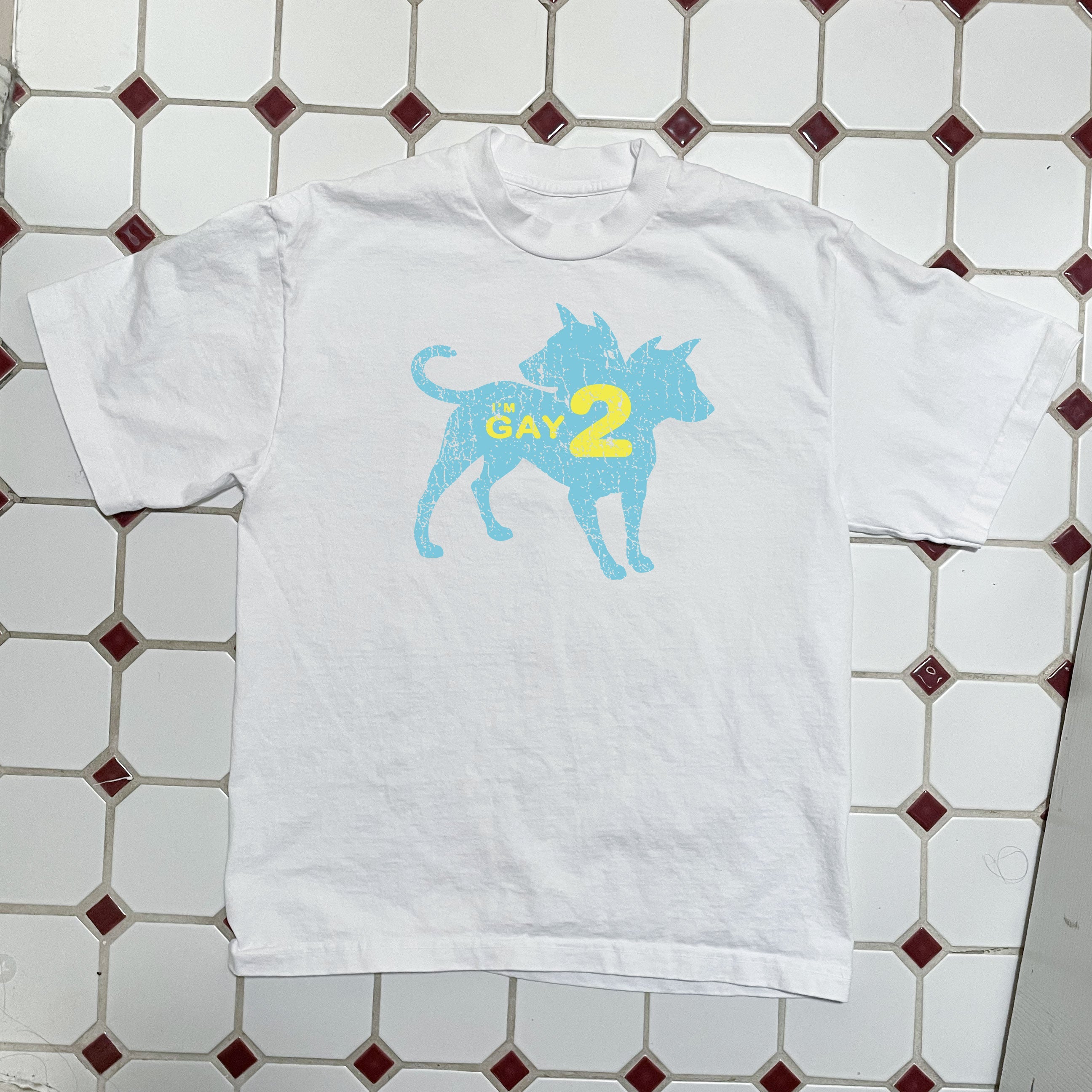 I'm Gay 2 Boxy Tee