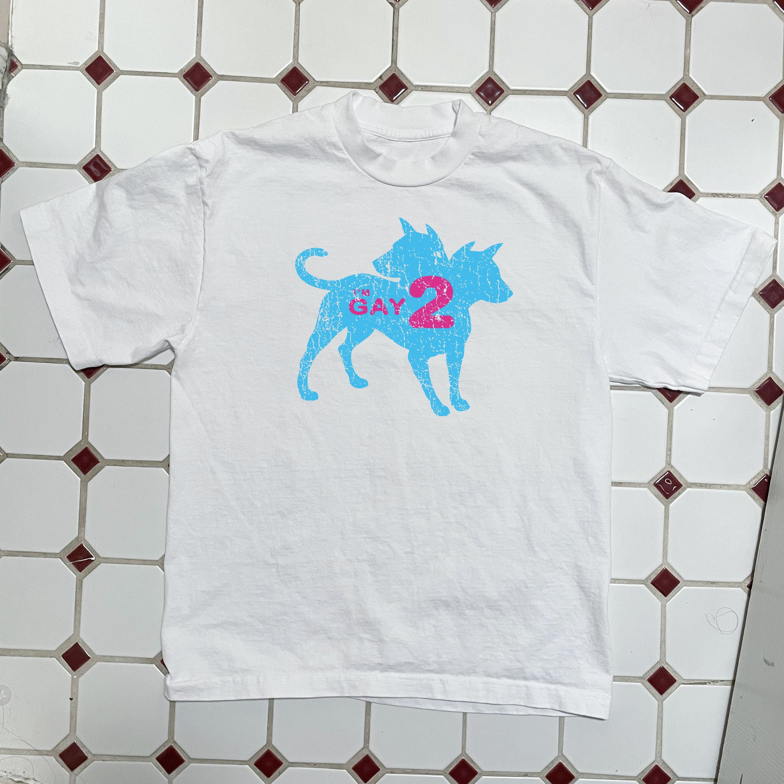 I'm Gay 2 Boxy Tee